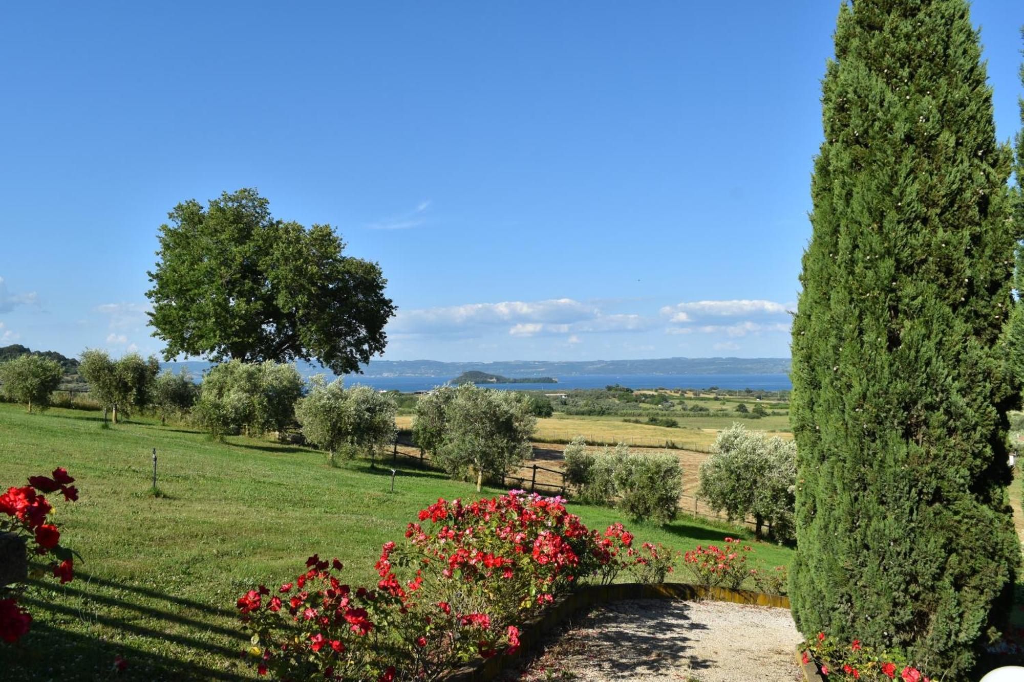 Alojamento de Turismo Rural Le Ginestre *