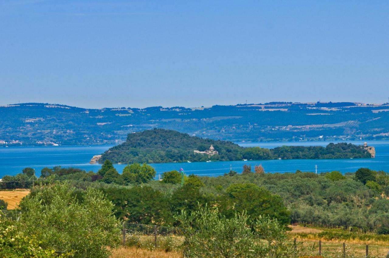 Alojamento de Turismo Rural Le Ginestre