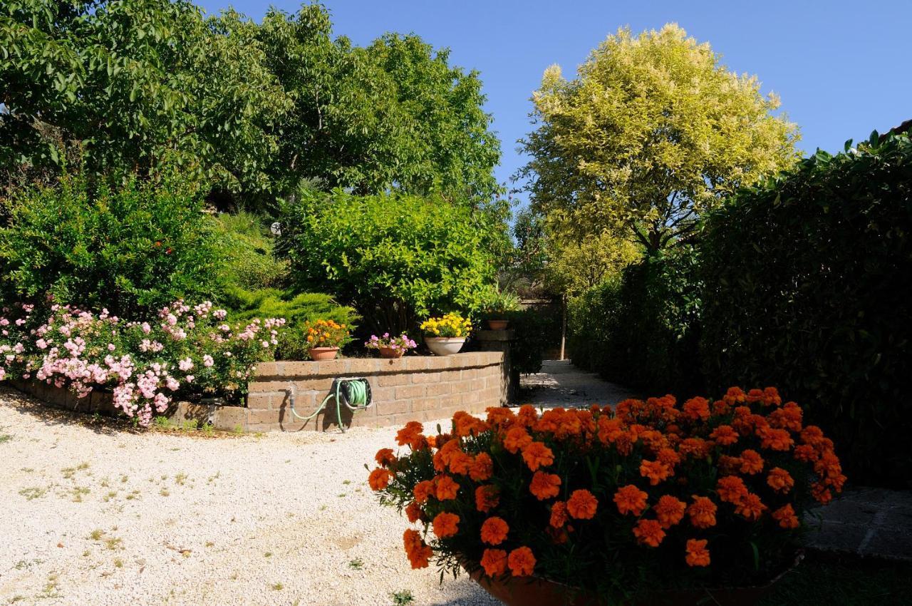 Le Ginestre Farm stay *